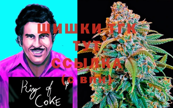 шишки Баксан